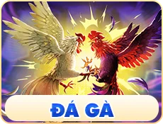 ảnh đá gà