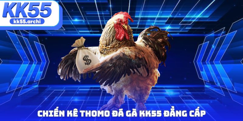 Chiến kê Thomo đá gà KK55 đẳng cấp